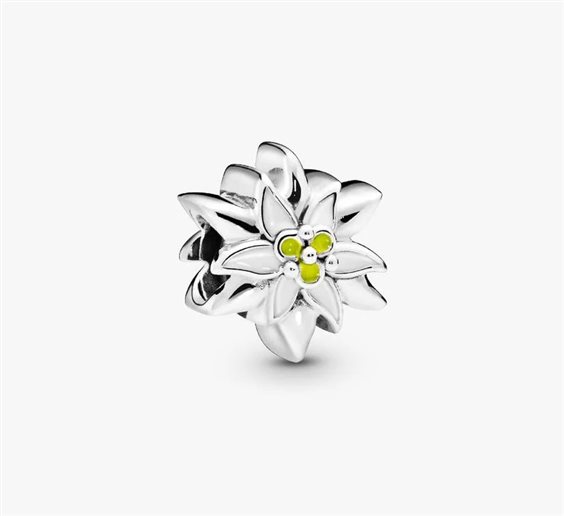 Charm Pandora in Argento 798243ENMX - 798243ENMX
